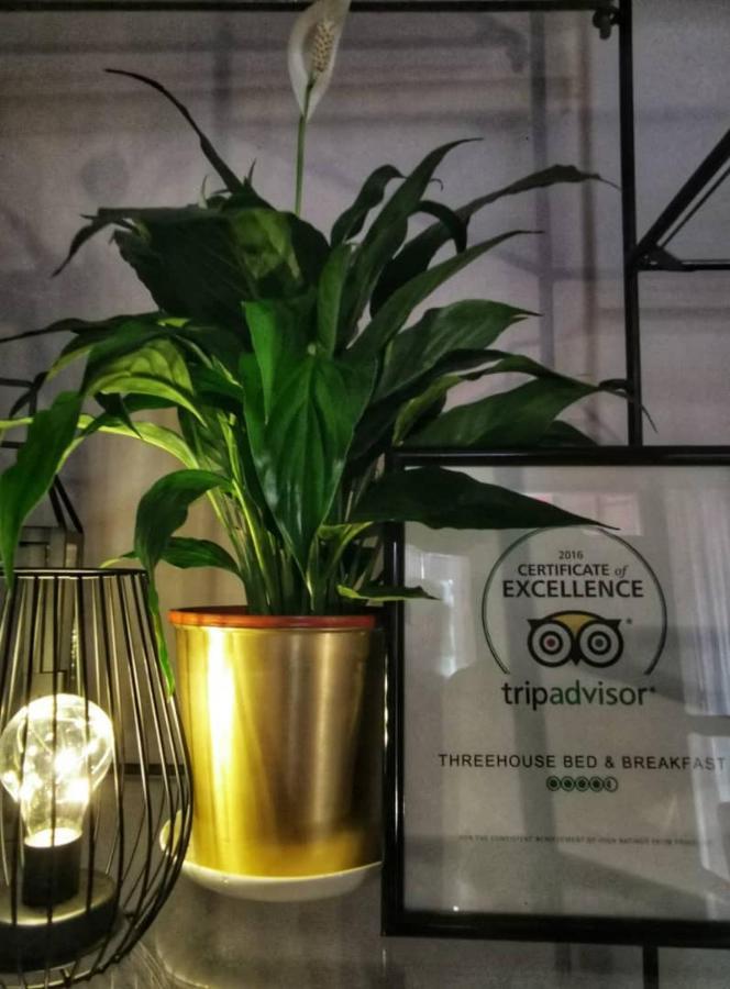 Treehouse Hostel クチン エクステリア 写真